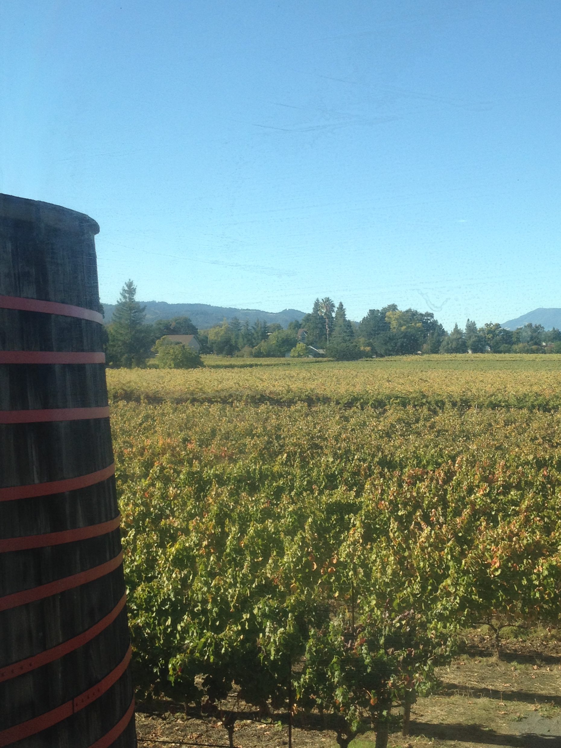 overhead view of barrel and vineyards